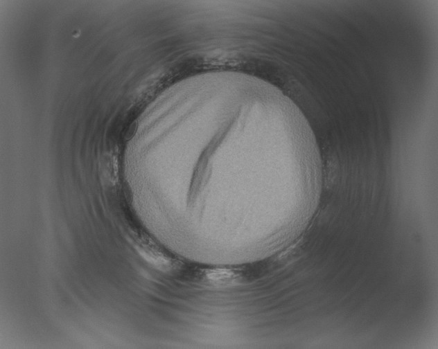 X0000076320183200610201648