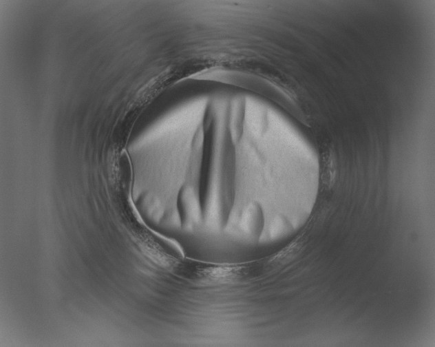 X0000076320184200610201648