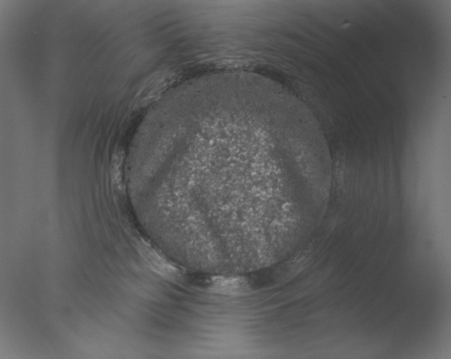 X0000076320185200610201648