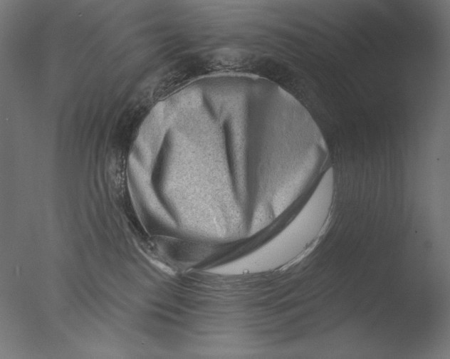 X0000076320186200610201648