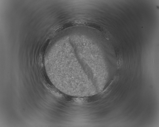 X0000076320187200610201648