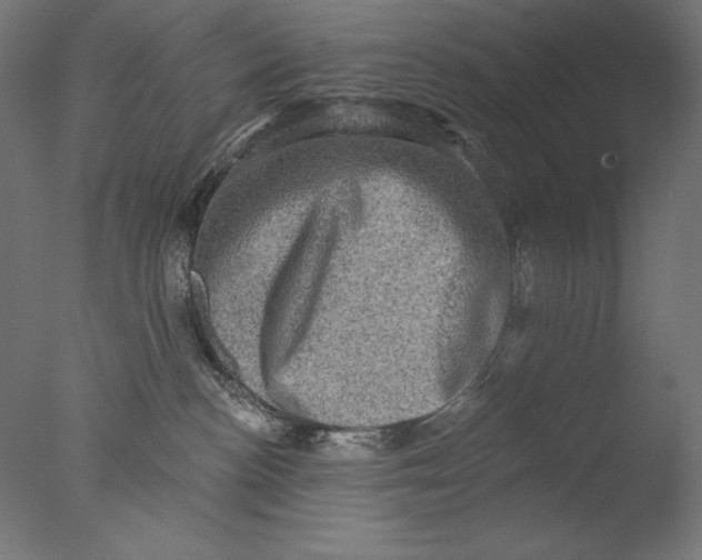 X0000076320188200610201648