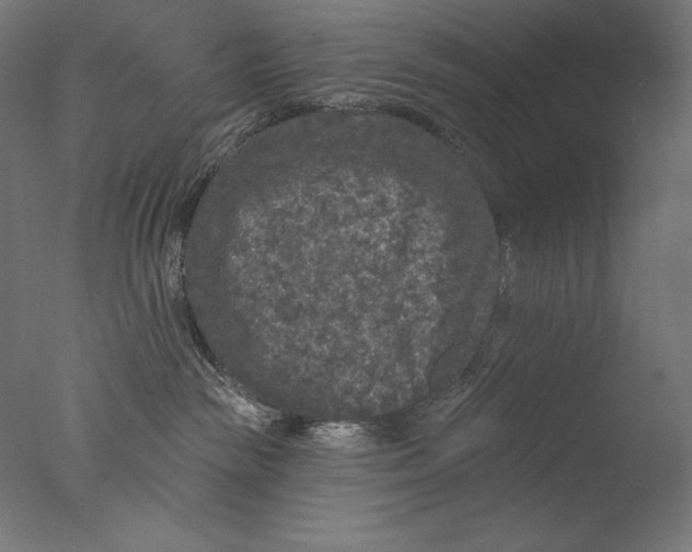 X0000076320189200610201648