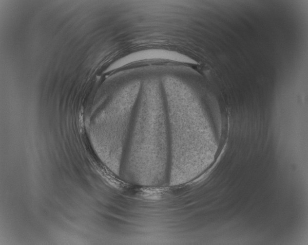 X0000076320190200610201648