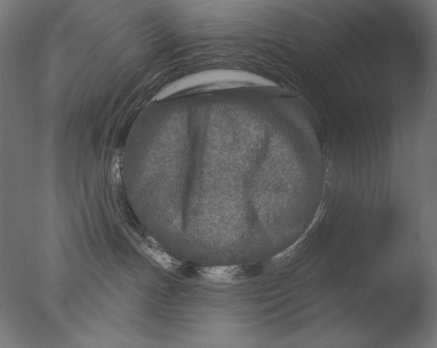 X0000076320191200610201648