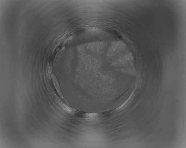 X0000076320192200610201648