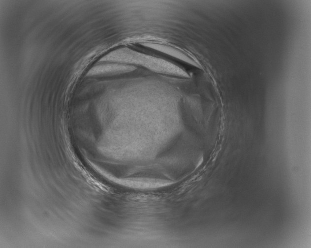 X0000076320193200610201647