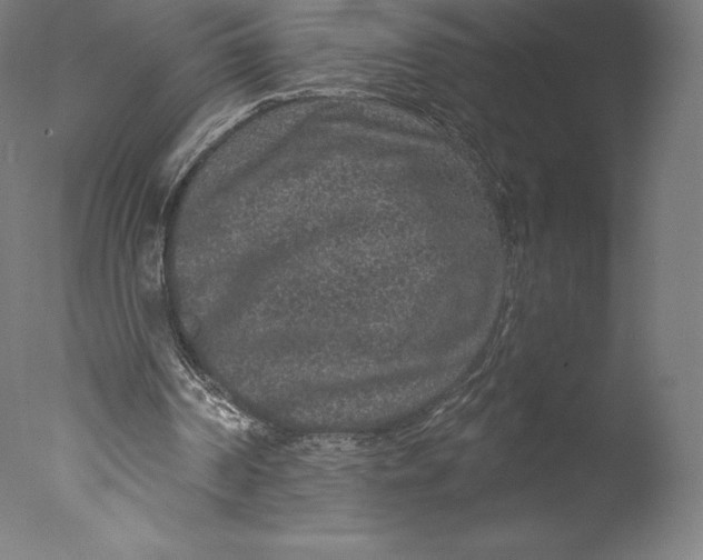 X0000076320194200610201647