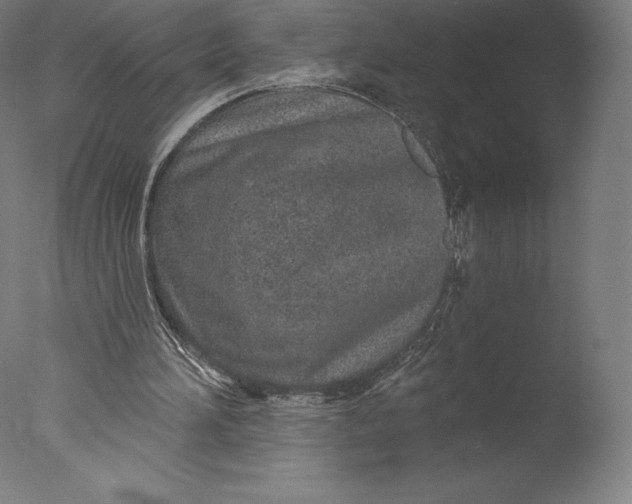 X0000076320196200610201647