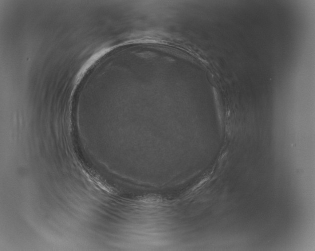 X0000076320200200610201647