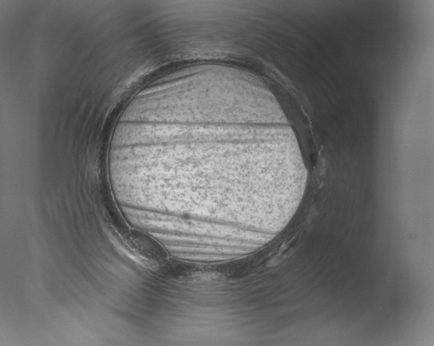 X0000076320203200610201647