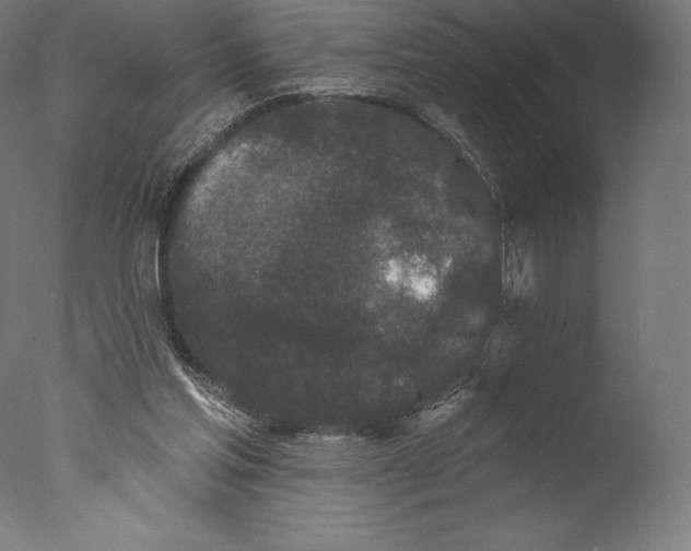 X0000076320205200610201647