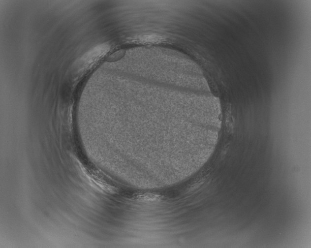 X0000076320206200610201647