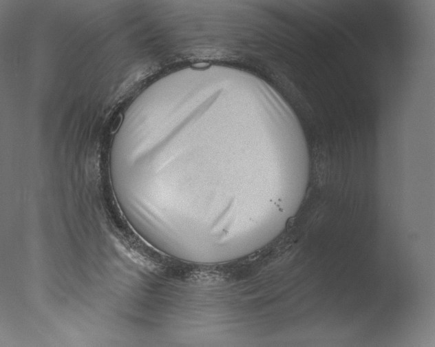 X0000076320207200610201647