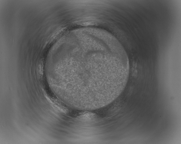 X0000076320210200610201647