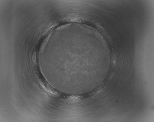 X0000076320213200610201647