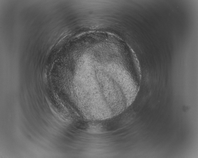 X0000076320214200610201647