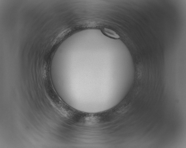 X0000076320216200610201647