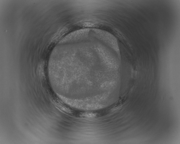 X0000076320217200610201647