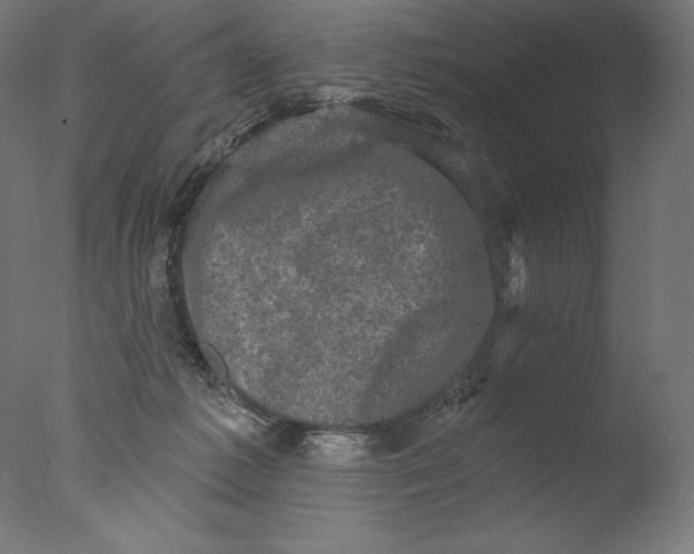 X0000076320221200610201647