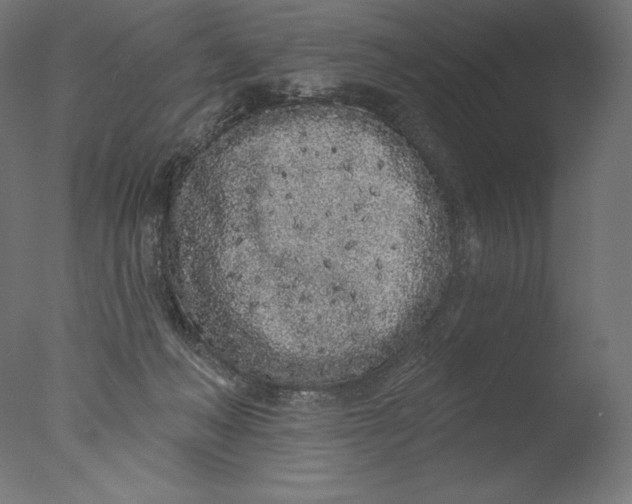 X0000076320222200610201647