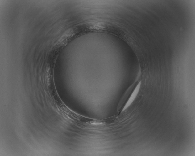 X0000076320223200610201647