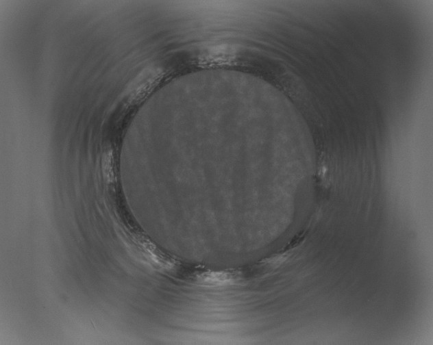 X0000076320224200610201647