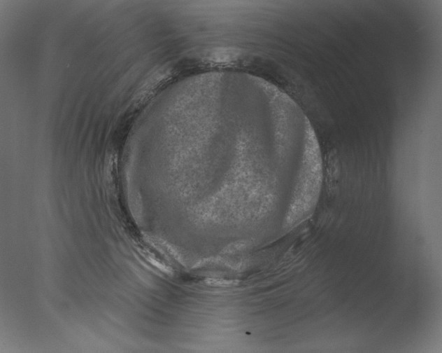 X0000076320225200610201647