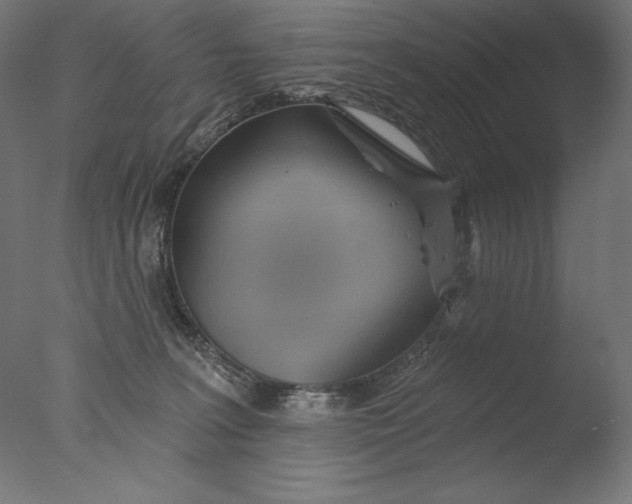 X0000076320227200610201647