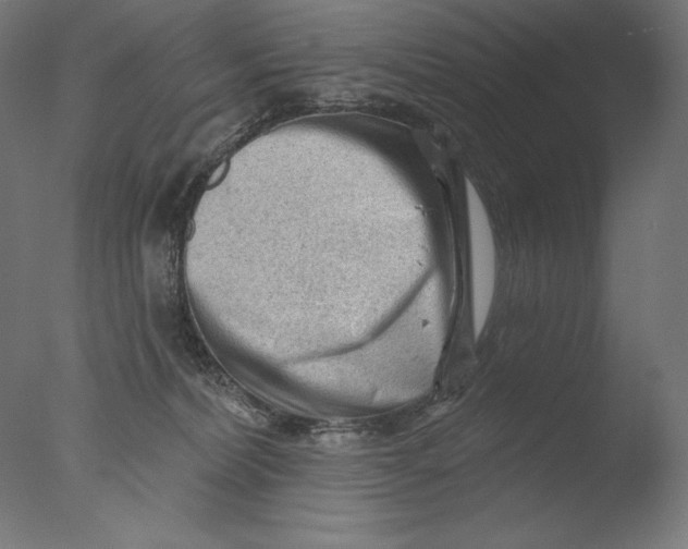 X0000076320228200610201647