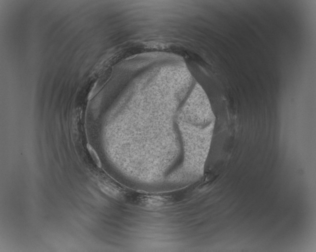 X0000076320229200610201647