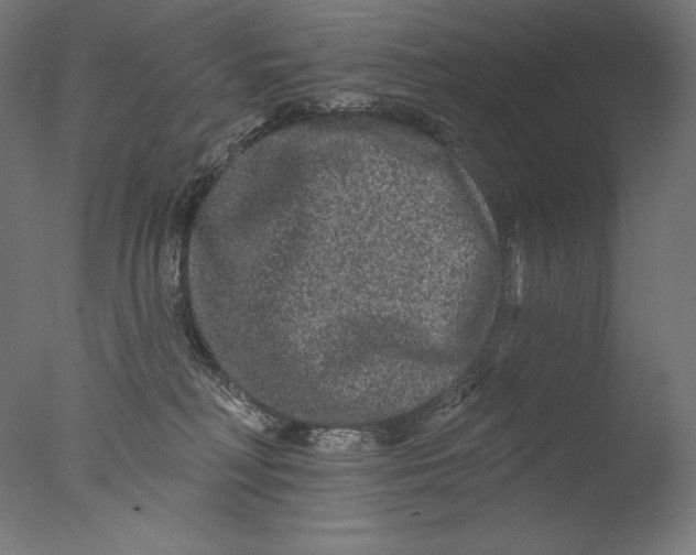 X0000076320230200610201647