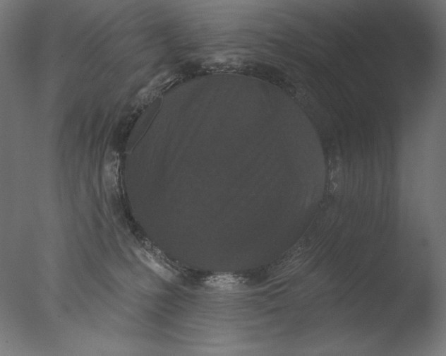 X0000076320231200610201647