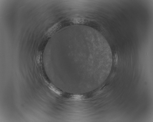 X0000076320233200610201647