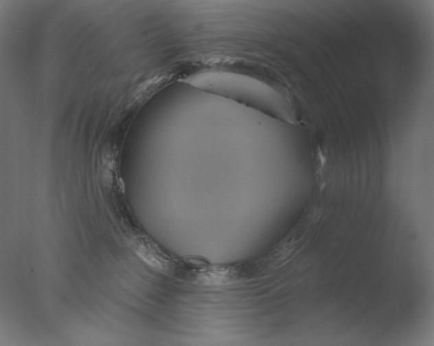 X0000076320235200610201647