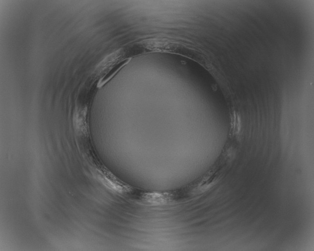 X0000076320239200610201647