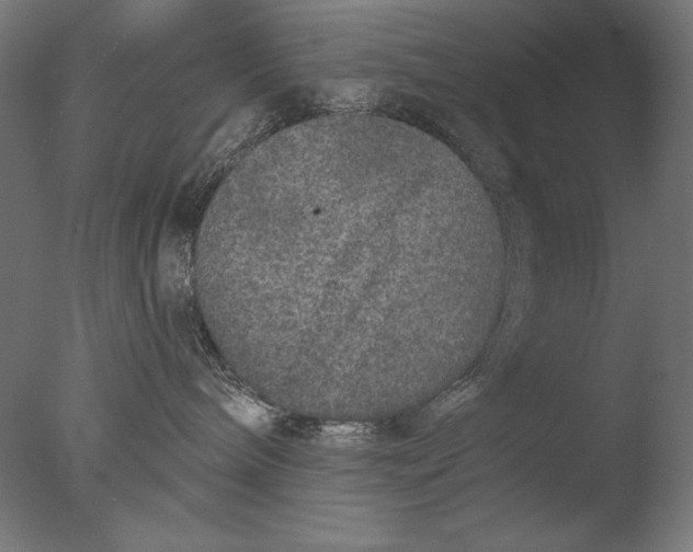 X0000076320240200610201647