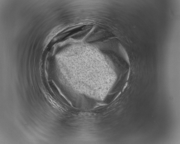 X0000076320242200610201646