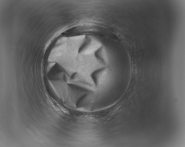 X0000076320244200610201646