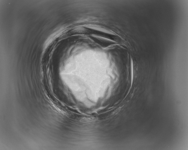 X0000076320245200610201646