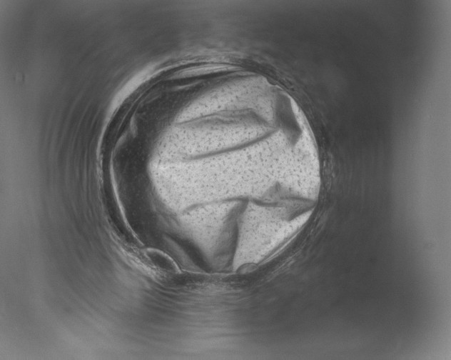 X0000076320246200610201646