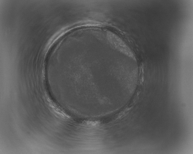 X0000076320247200610201646