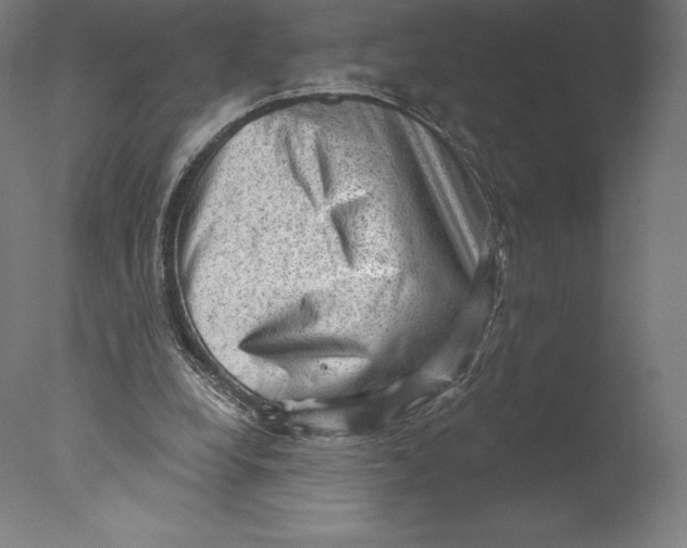 X0000076320248200610201646