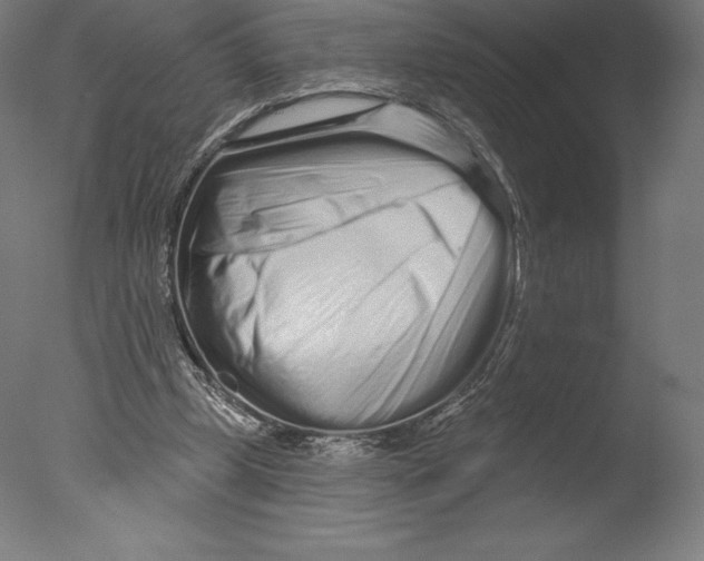 X0000076320249200610201646