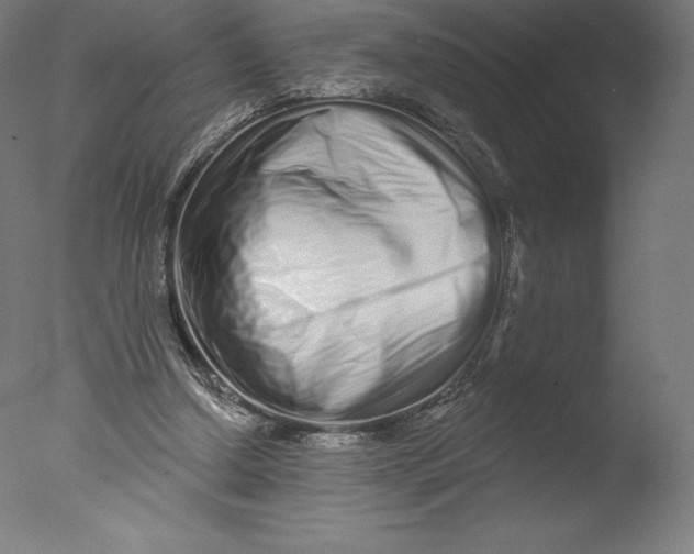 X0000076320250200610201646