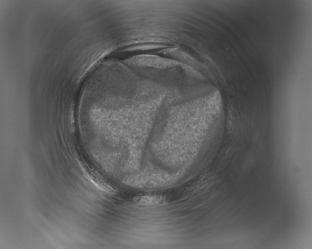 X0000076320251200610201646