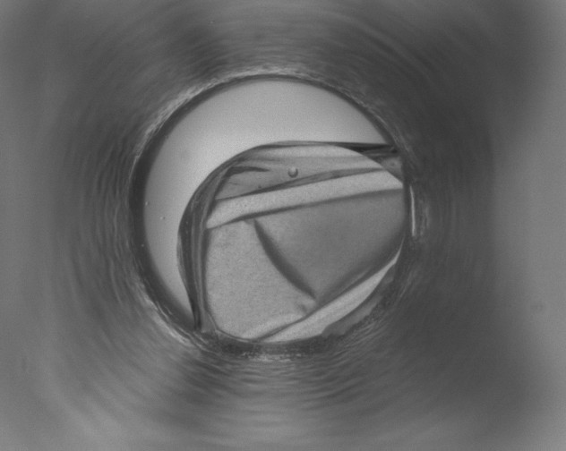 X0000076320252200610201646