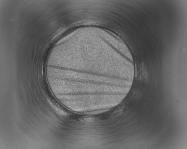 X0000076320253200610201646