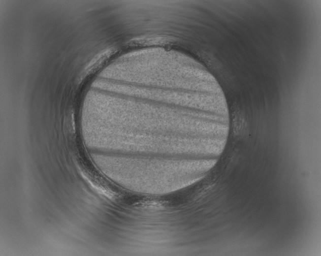 X0000076320254200610201646