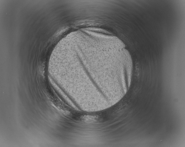 X0000076320255200610201646